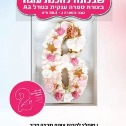 שבלונה להכנת ספרה 2 - A3