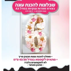 מארז שבלונות להכנת ספרות ענקיות - A3