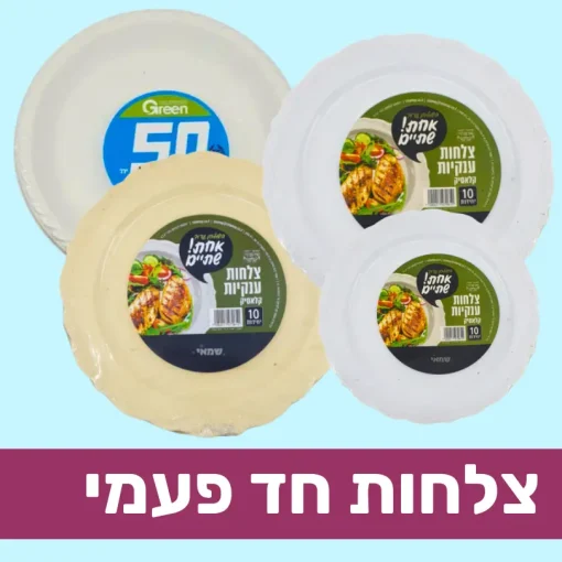 צלחות חד פעמי